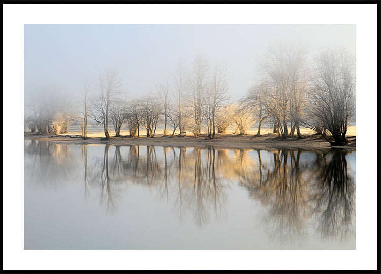 january morning Plakat - Posterbox