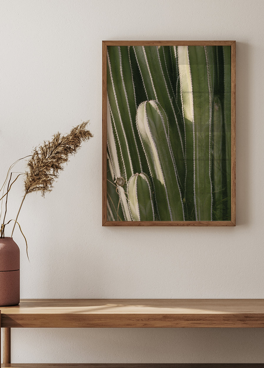 Kaktus-Poster - Posterbox.dk