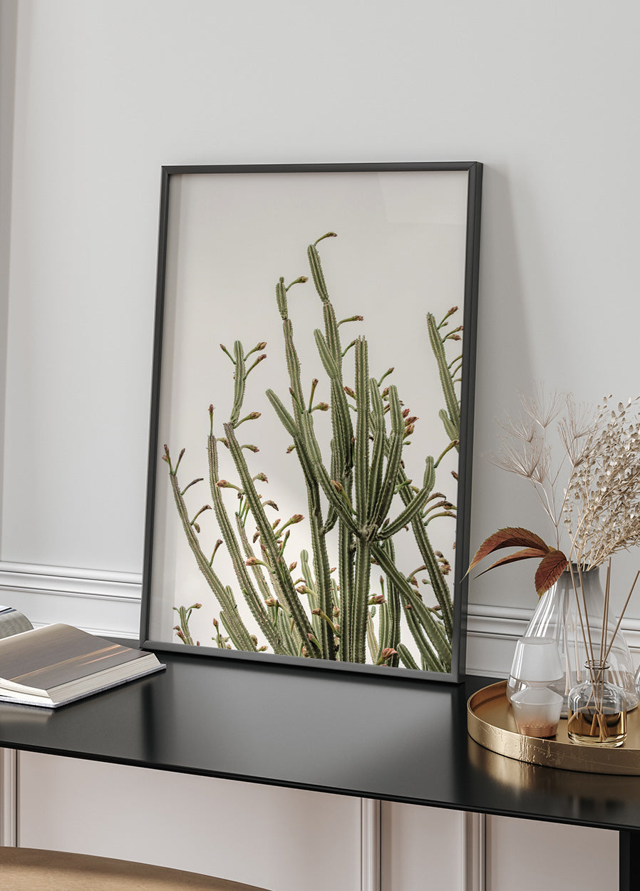 Kaktus-Poster - Posterbox.dk