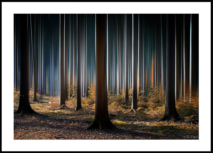 Mystic Wood - Posterbox
