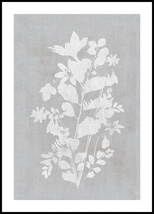 Botanical Illustration 2 Plakat - Posterbox