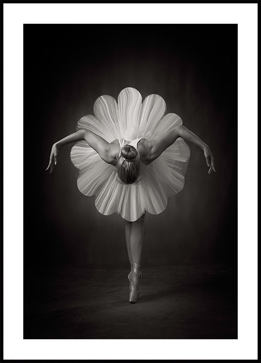 Floral Ballet Plakat - Posterbox