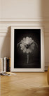 Floral Ballet Plakat - Posterbox