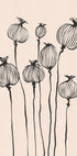 Poppy Pods Plakat - Posterbox