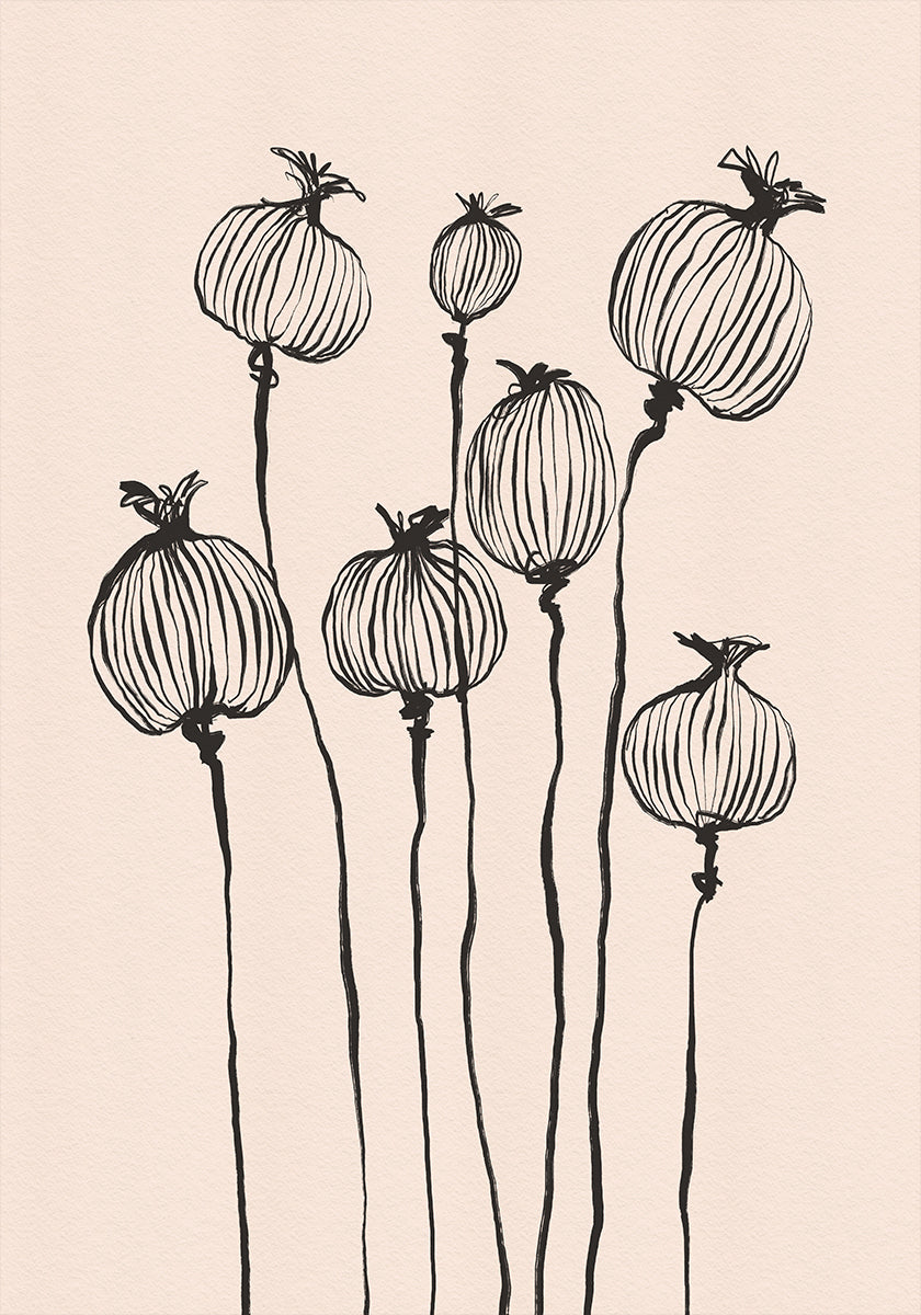 Poppy Pods Plakat - Posterbox