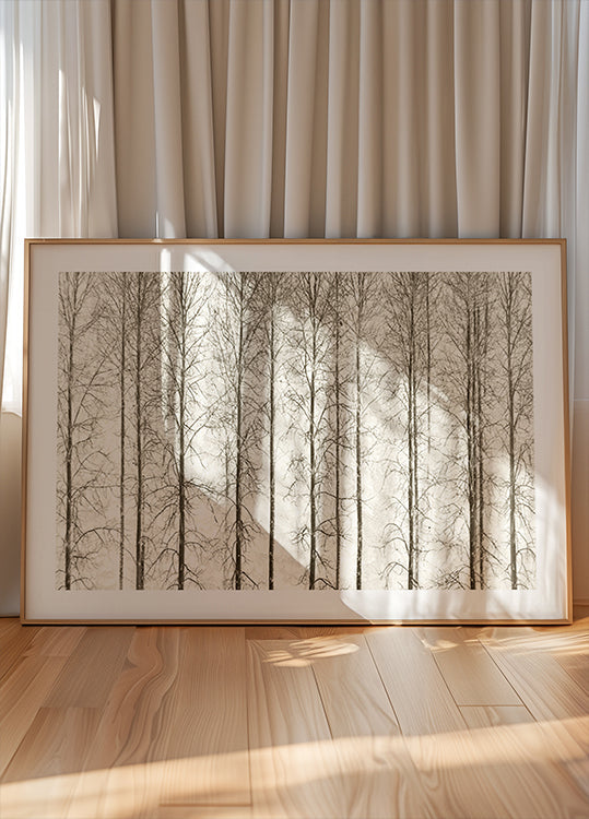 Aspens Plakat - Posterbox