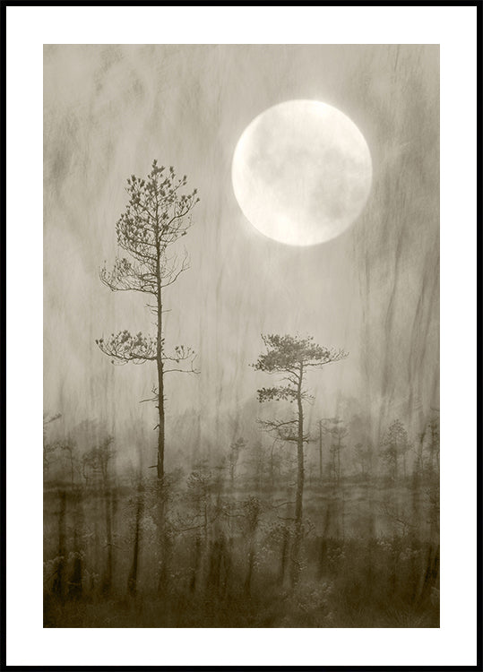 Moonlight Moor Plakat - Posterbox