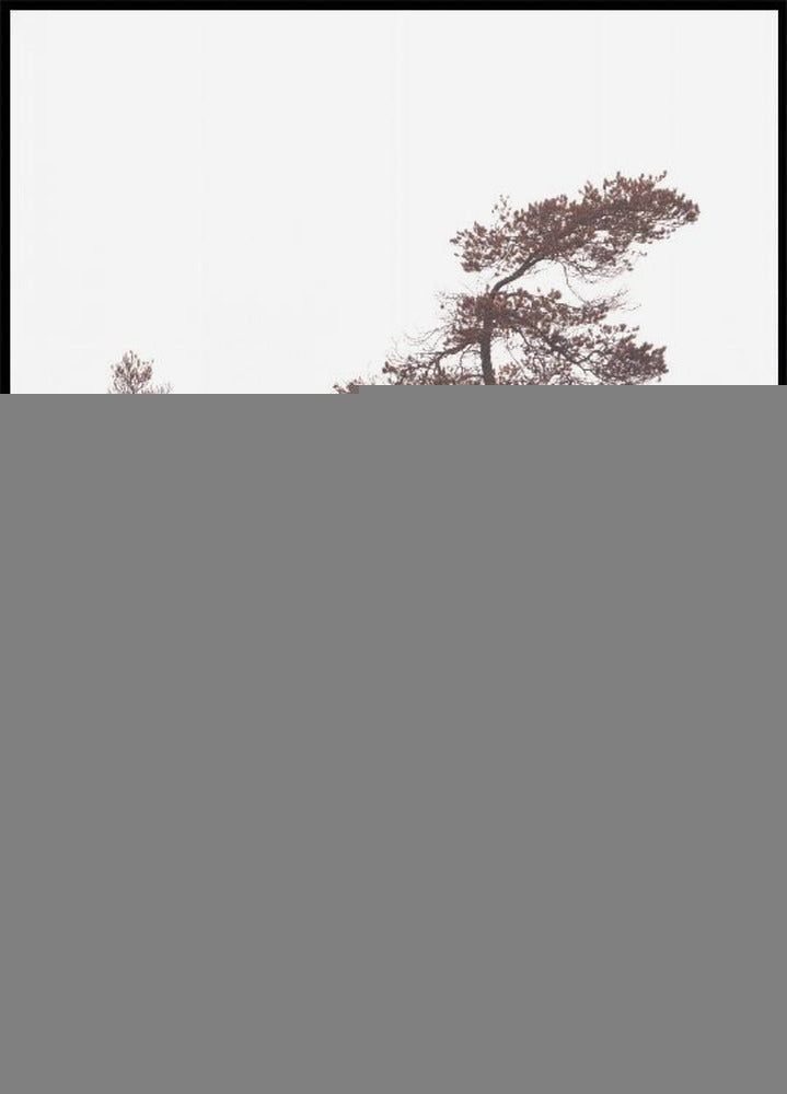 Sculptral Pines Plakat - Posterbox