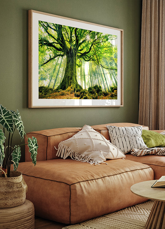 Ponthus' Beech Plakat - Posterbox