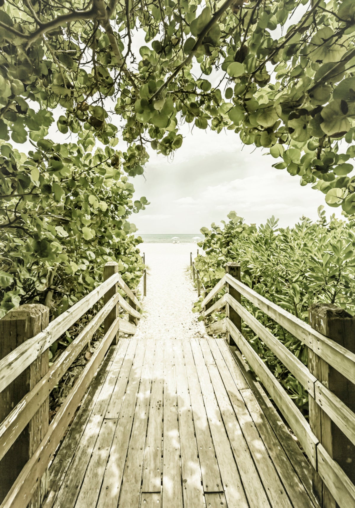 Tropischer Strandweg