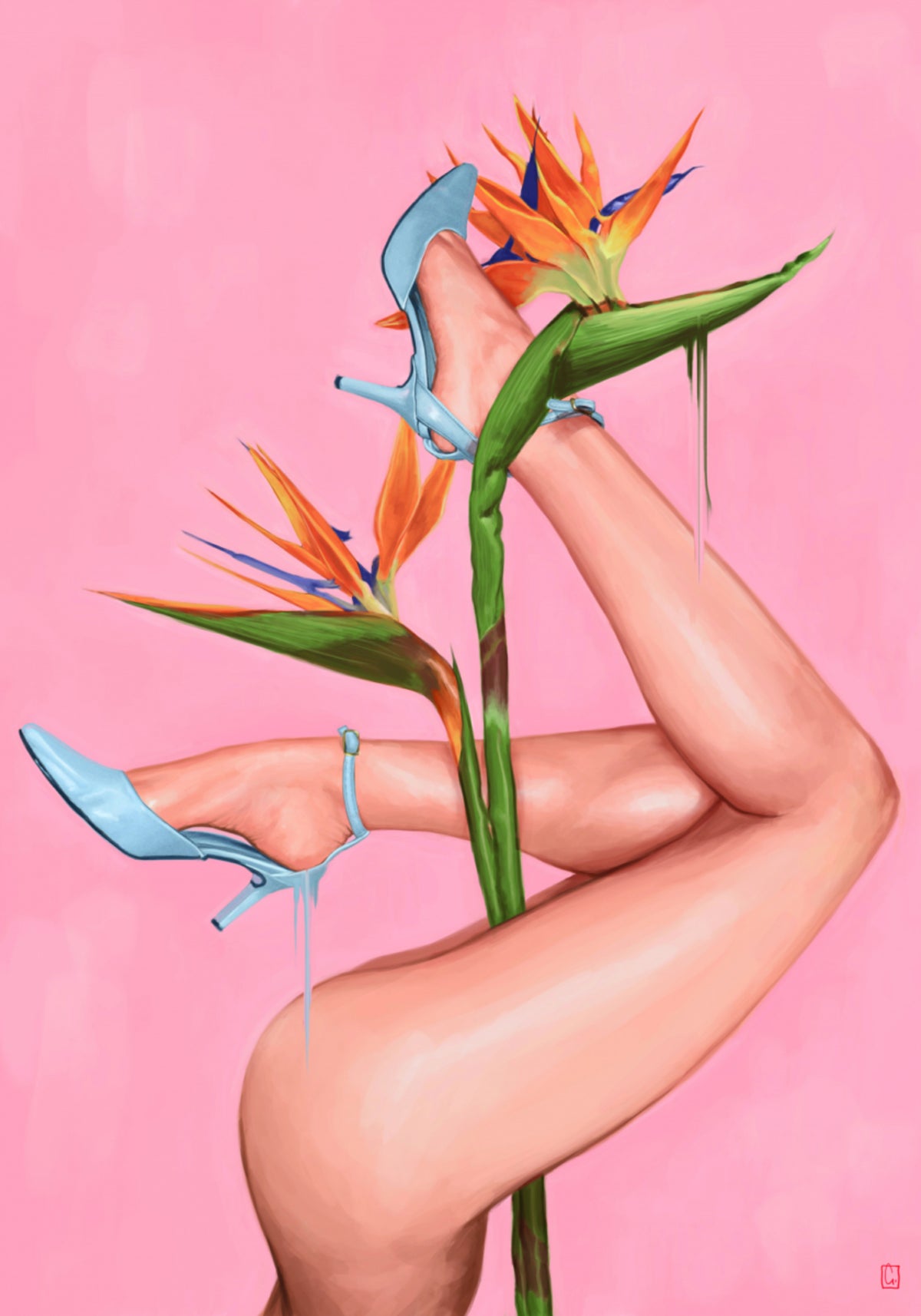 Blue Heels Vogelparadies