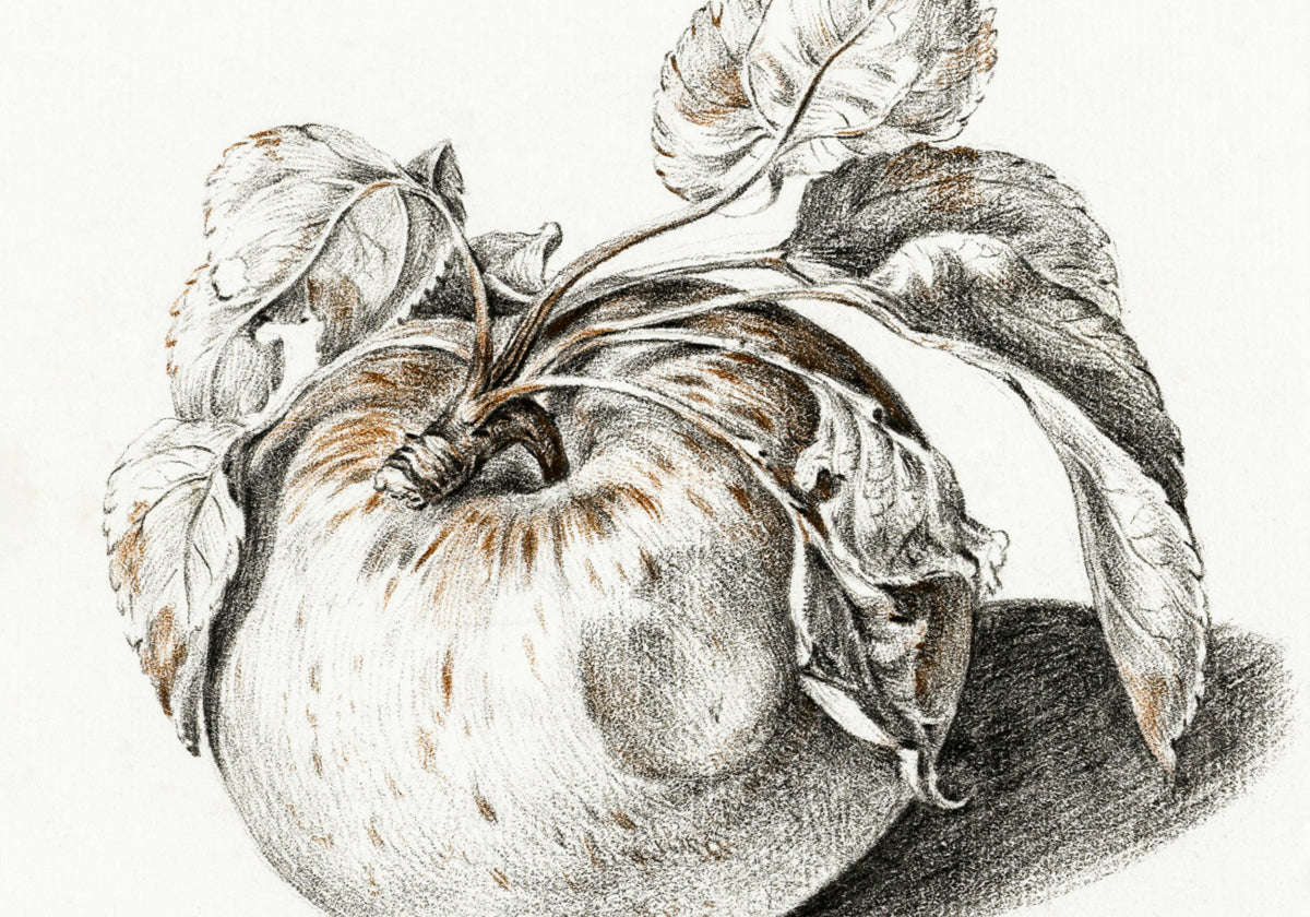 Apfel