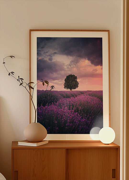 Lavender Fields, Isparta Plakat - Posterbox