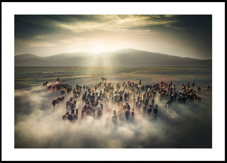 Wild Horses Plakat - Posterbox