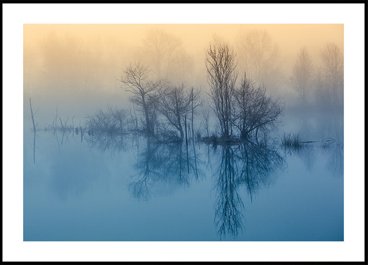 Morning reflection - Posterbox