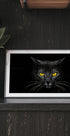 Black Cat Plakat - Posterbox