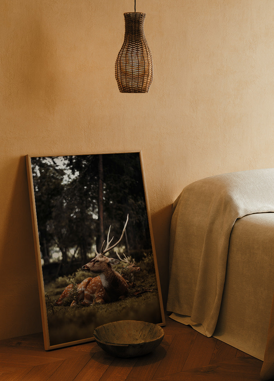 Hirsch im Wald Poster - Posterbox.dk