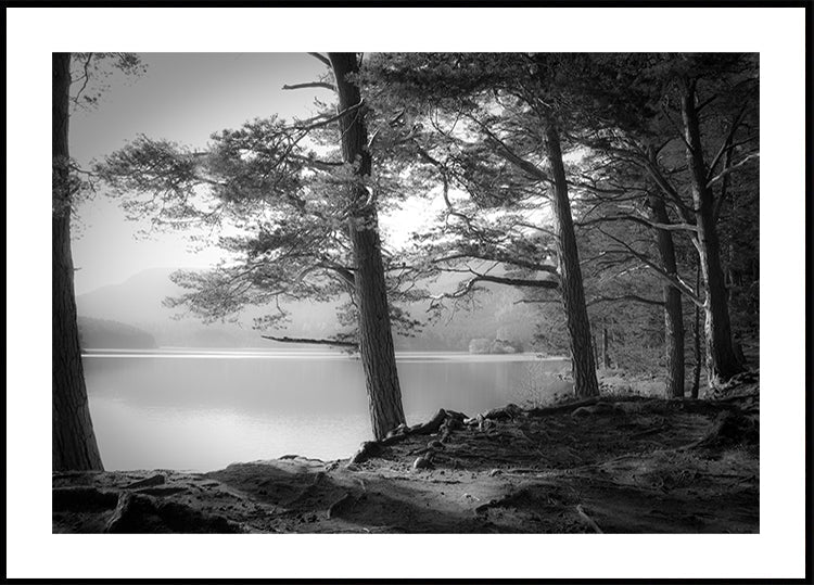 Loch an Eilein - Posterbox