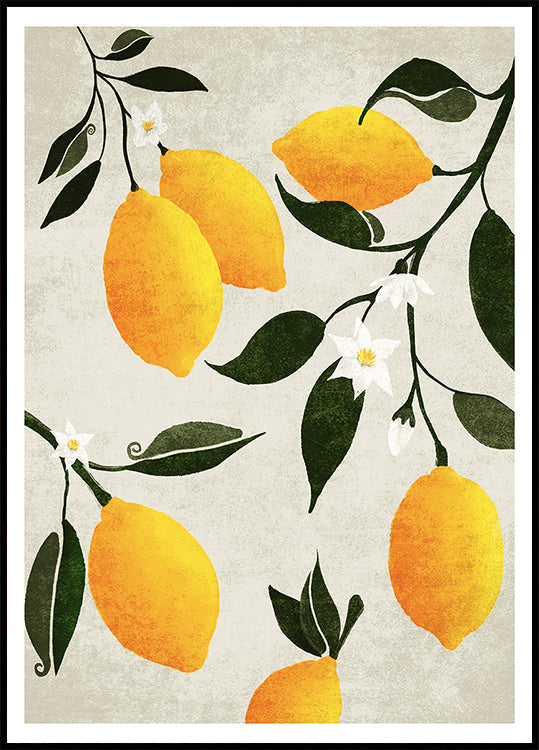 Citrus Symphony Plakat - Posterbox