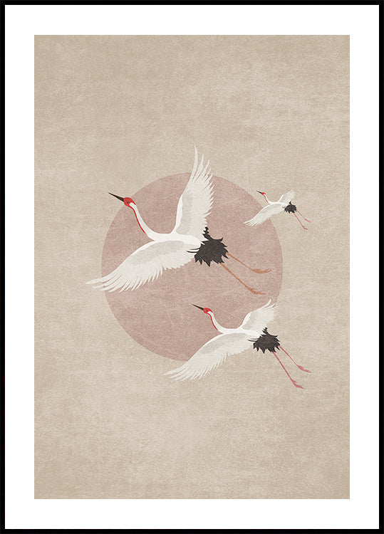Cranes in Flight Plakat - Posterbox
