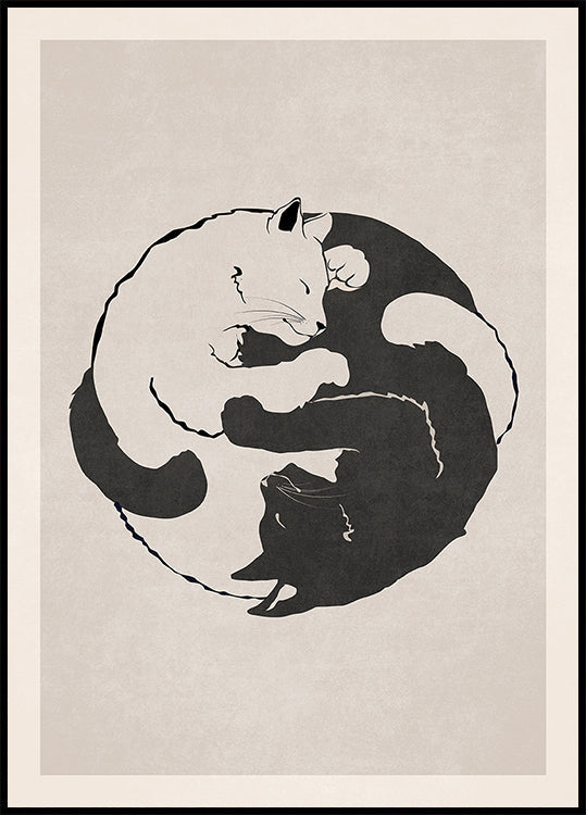 Feline Harmony Plakat - Posterbox