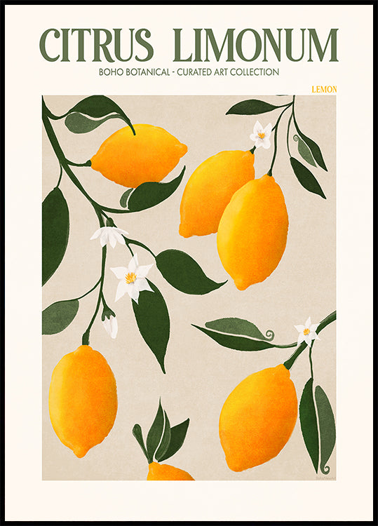 Golden Citrus Delight Plakat - Posterbox