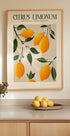 Golden Citrus Delight Plakat - Posterbox