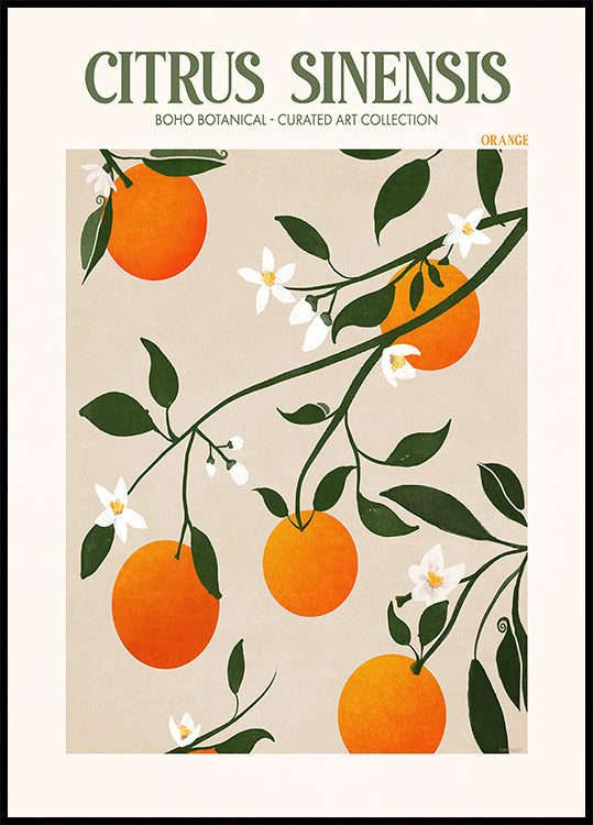 Orange Elegance Plakat - Posterbox