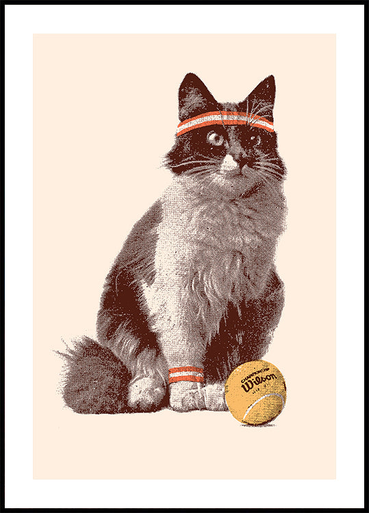 Chat Tennis Plakat - Posterbox