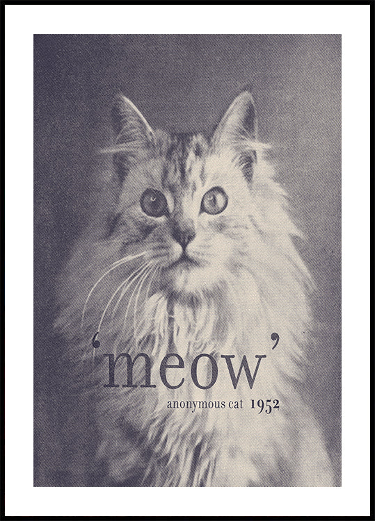 Famous Quote Cat Plakat - Posterbox