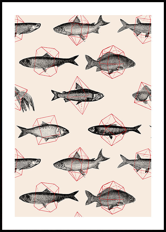 Fishes In Geometrics Nº4 Plakat - Posterbox