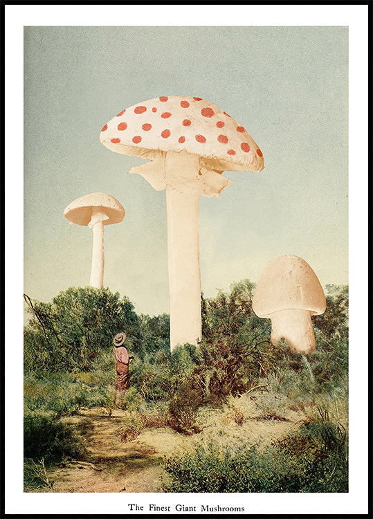 The Finest Giant Mushroom Plakat - Posterbox