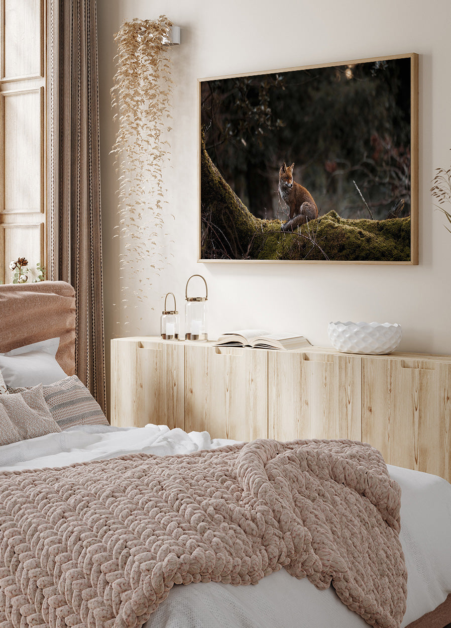 Fuchs im Wald Poster - Posterbox.dk