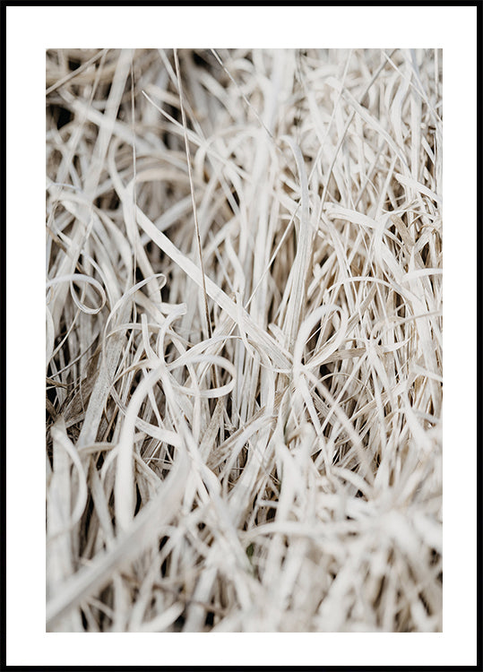 Gras-Poster - Posterbox.dk