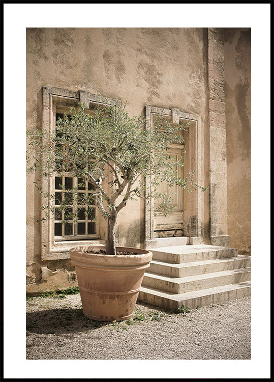 Baumposter - Posterbox.dk