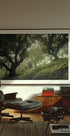 Enchanted Forest Plakat - Posterbox