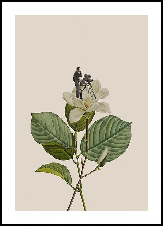 Botanical vintage cameraman Plakat - Posterbox