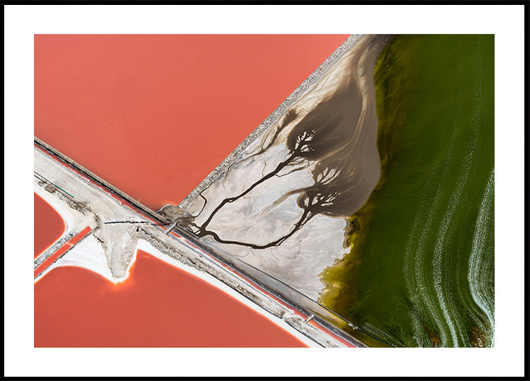 Nature's painting - Posterbox