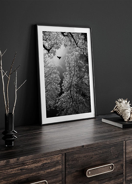Flight - Posterbox