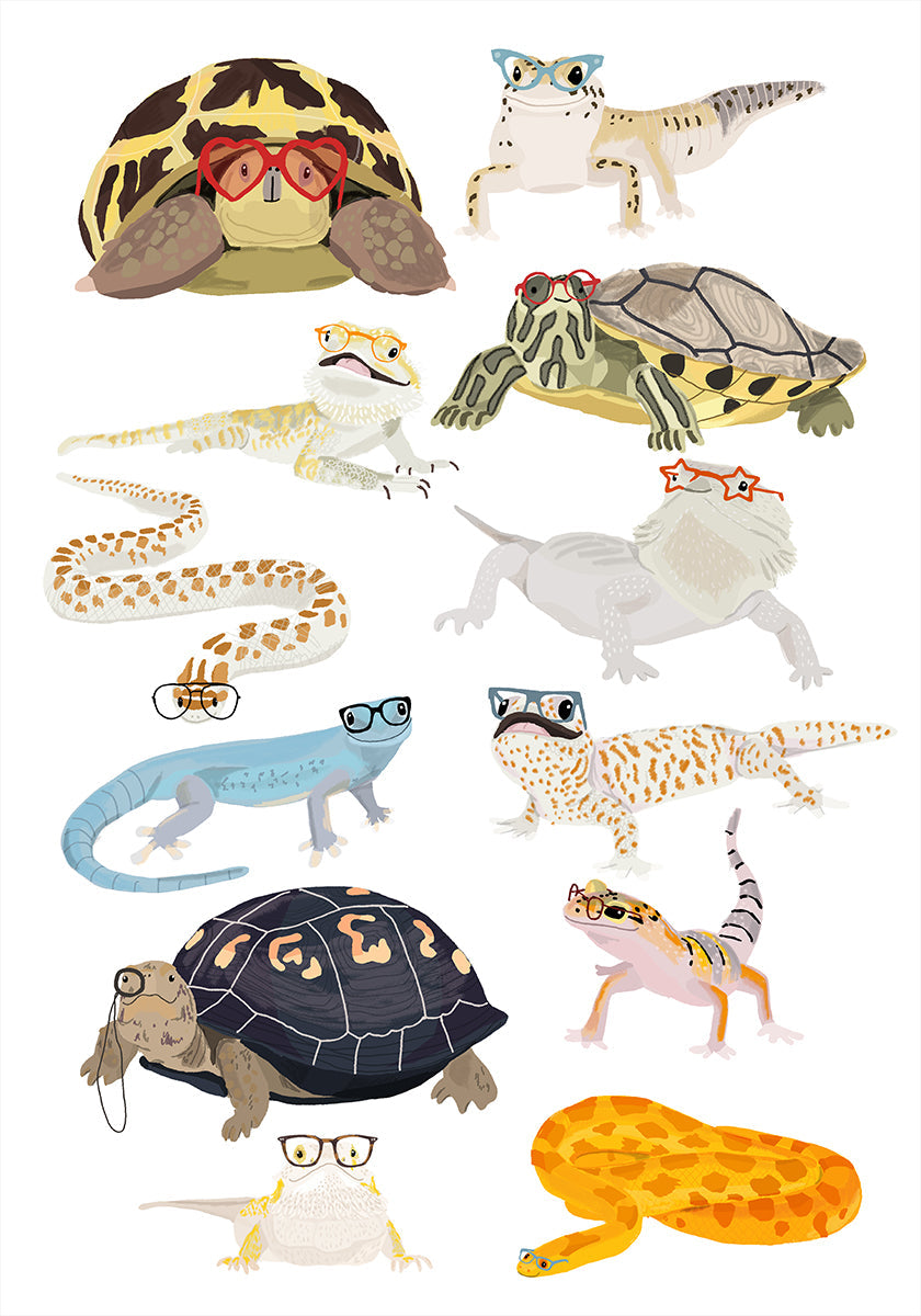 A1 Reptiles In Glasses Plakat - Posterbox