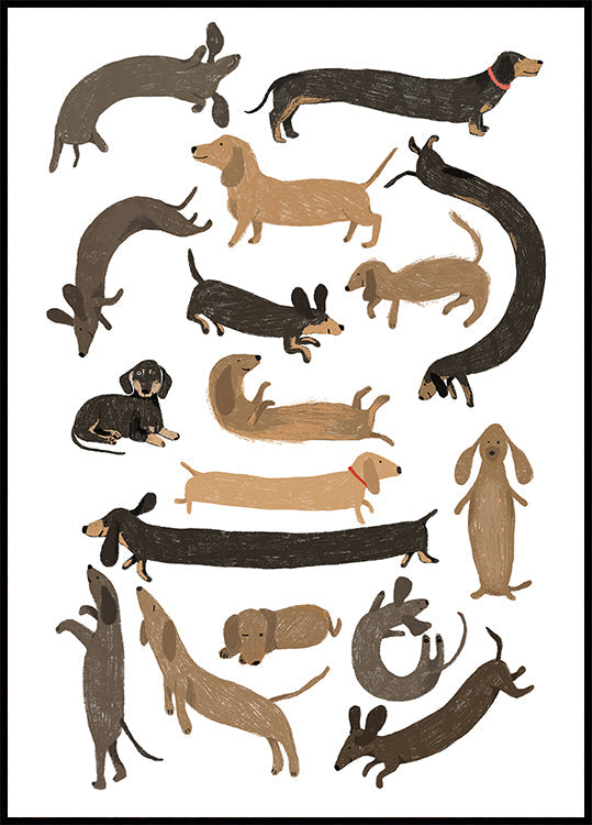Dachshund Print Plakat - Posterbox