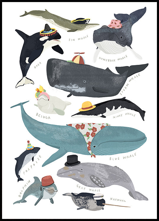 Whales In Hats Plakat - Posterbox
