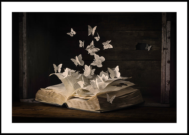 Lepidopterology - Posterbox