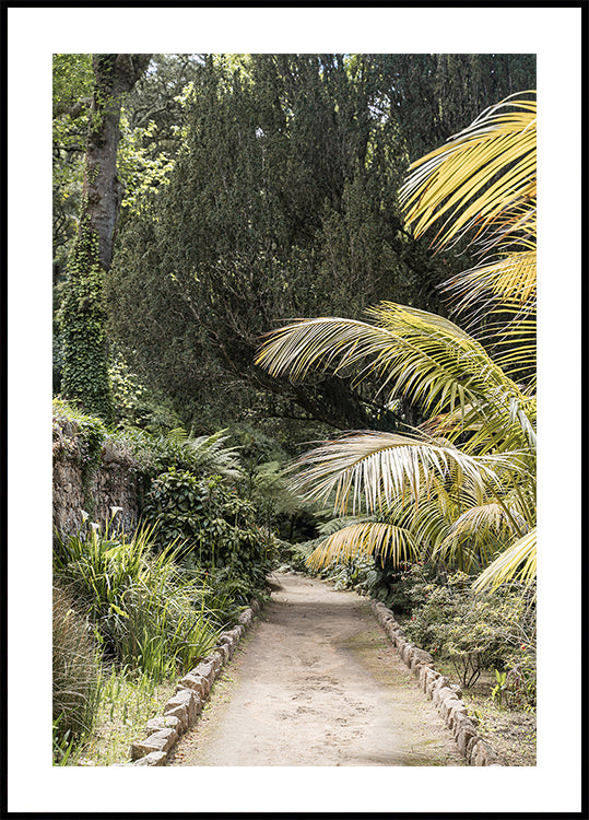 Tropical Walk Plakat - Posterbox