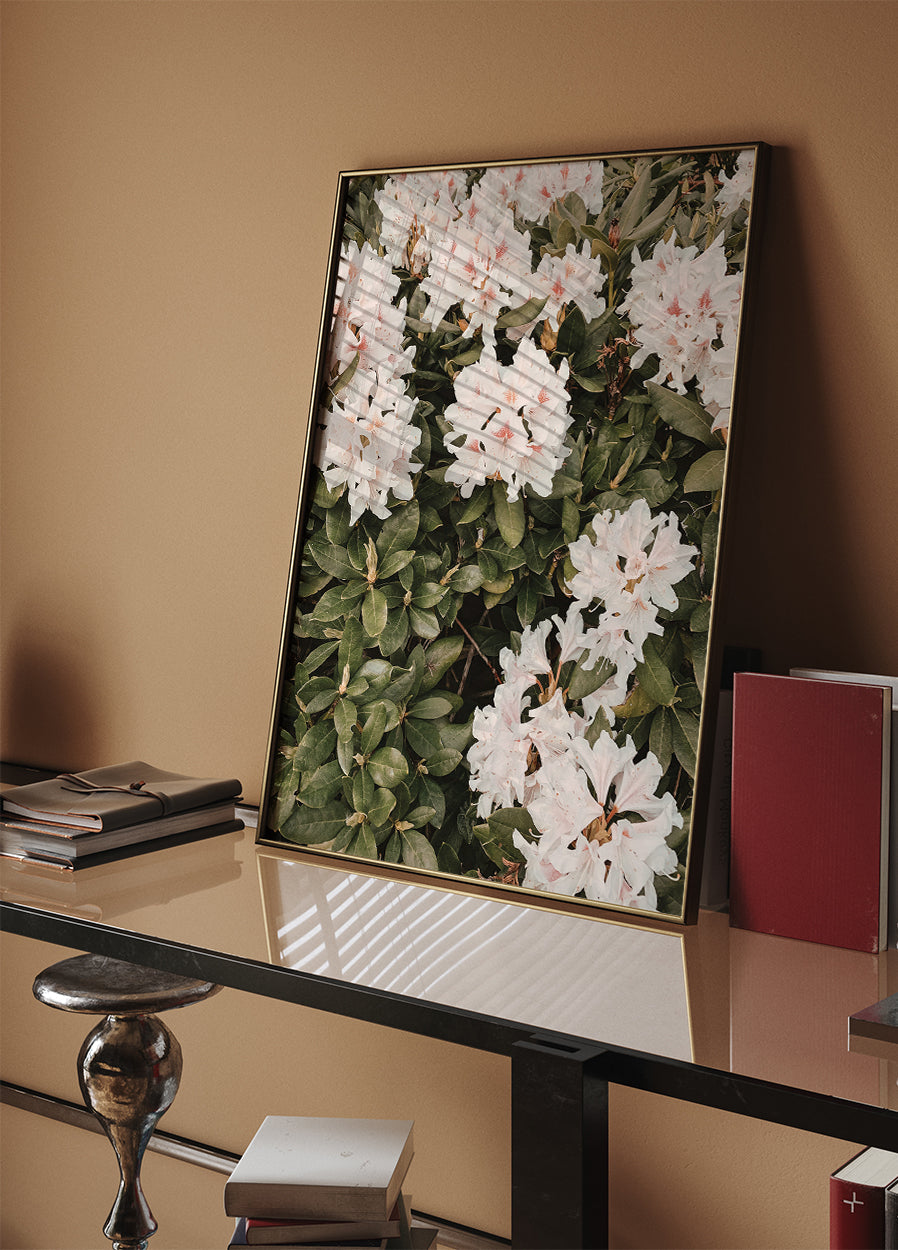 Hibiskus-Poster - Posterbox.dk