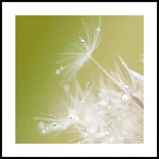 Green Plakat - Posterbox