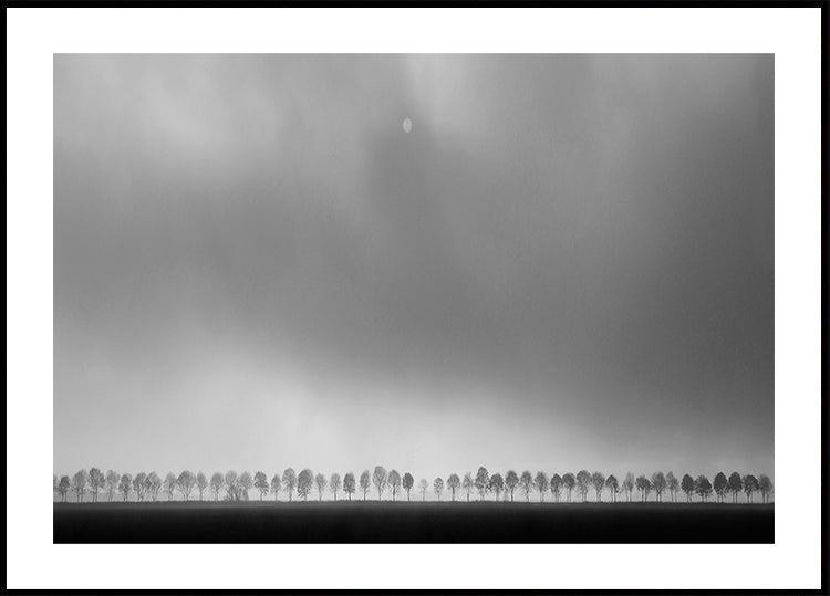 Polderlandscape - Posterbox