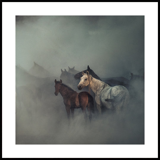 The lost horses Plakat - Posterbox