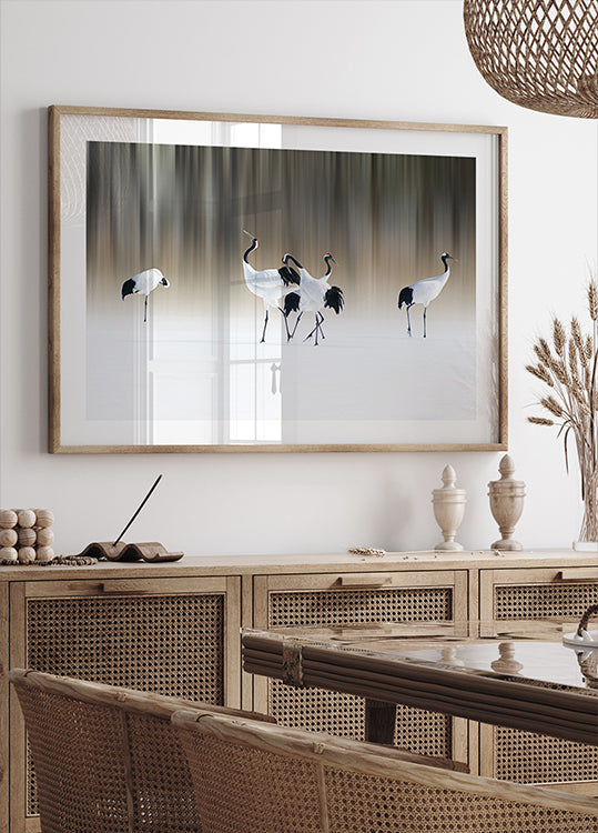 Red-crested white cranes Plakat - Posterbox