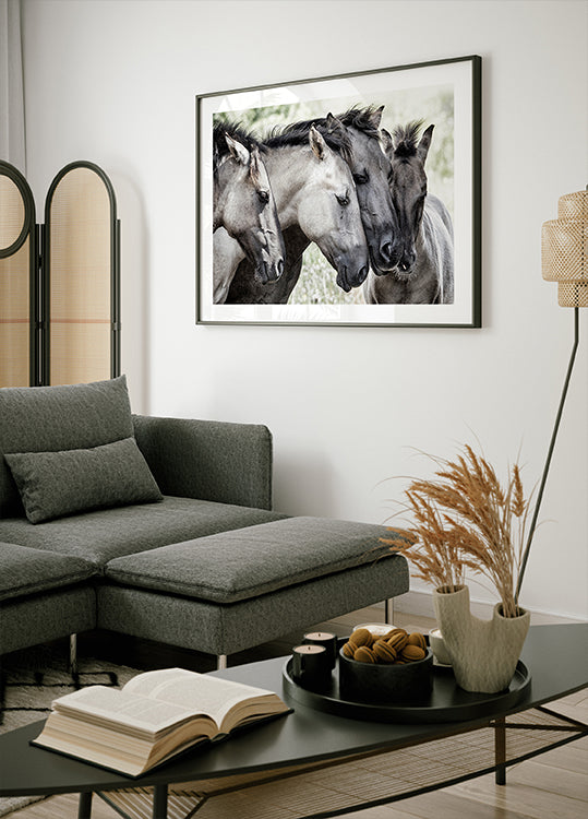 Four Konik Horses - Posterbox